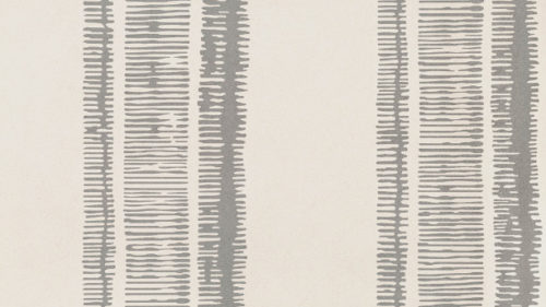 Xander  Birch W536-01